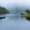 gavi kerala